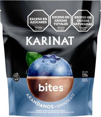 Bites arándano con chocolate karinat